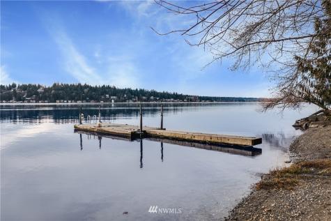 20312 NE 16th Street Sammamish WA 98074