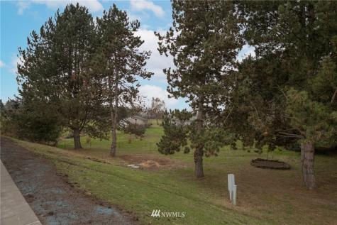 204 Pinkerton Drive Woodland WA 98674